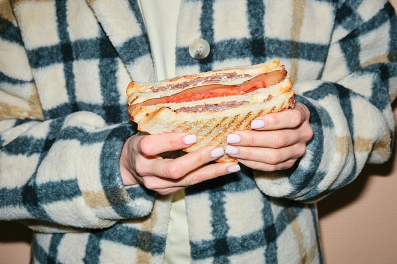 hands holding a toasted sandwich