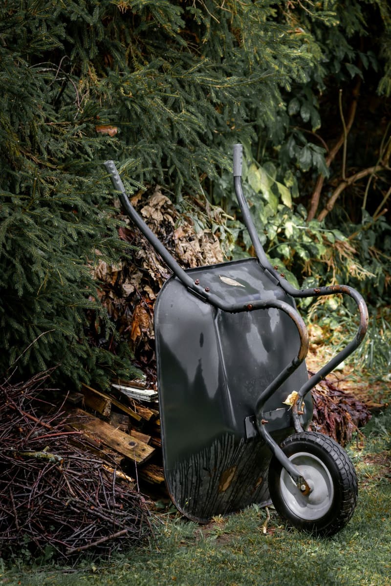 a wheelbarrow beside a hedge