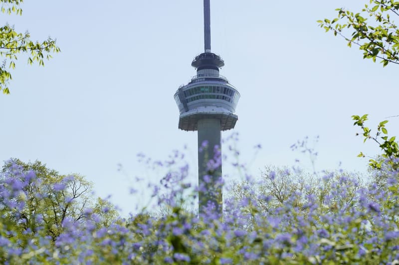 a television tower above blossom