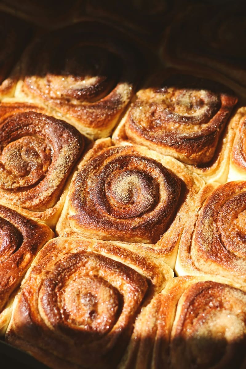 cinnamon rolls fresh from the oven