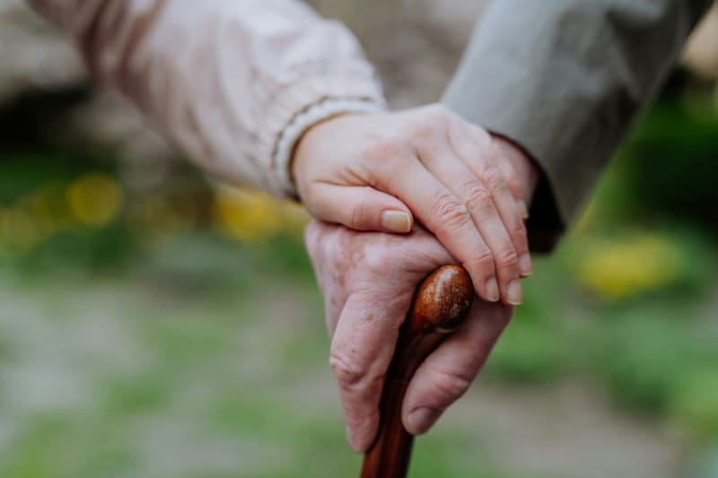 a hand on a walking stick held by another