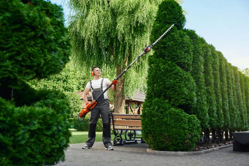 a gardener with a long hedge trimmer