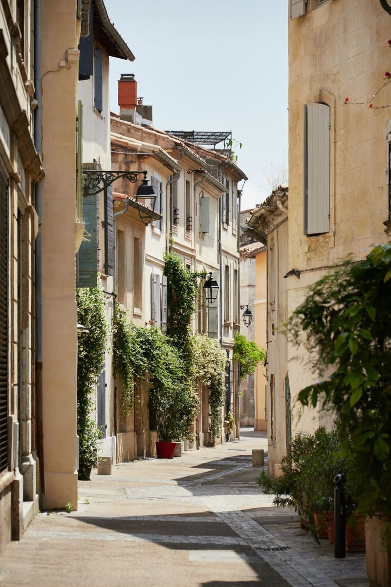 a narrow lane with climbing plants
