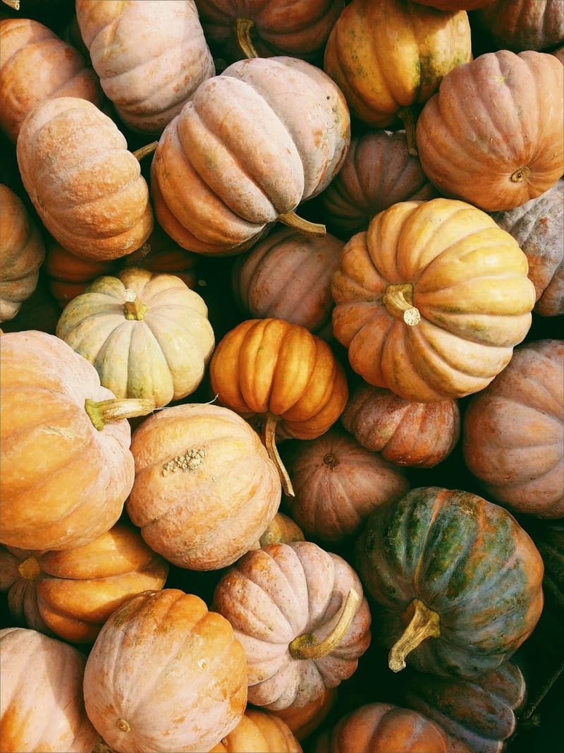 a pile of small pumpkins