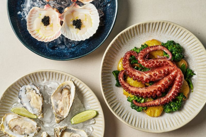 scallops oysters and octopus plated