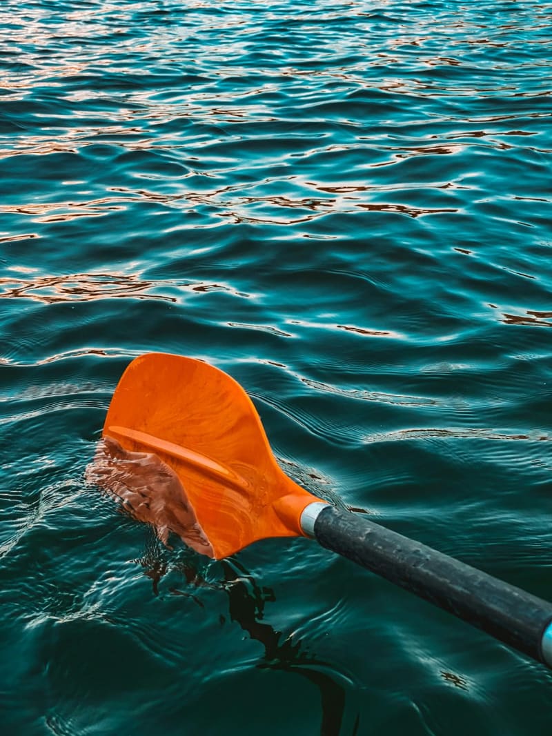 a paddle blade in the water