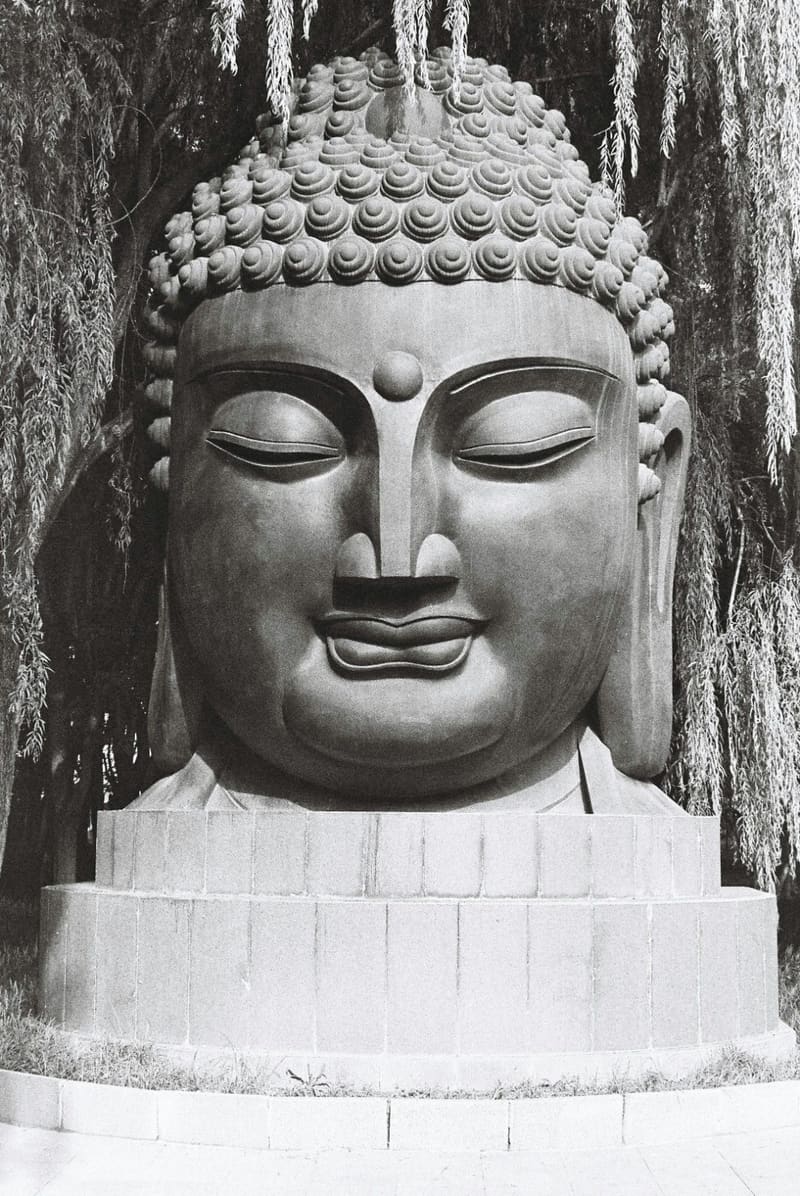 a stone buddha head