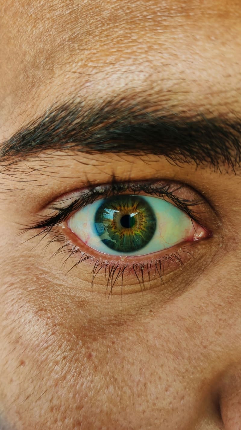 a green eye in close-up