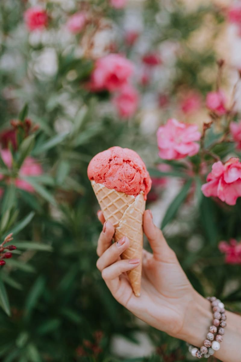 a pink scoop cone against oleander